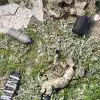 Умереть дважды: ВСУ минируют тела своих погибших 'побратимов' — это выгодное дело (Фото: Пресс-служба Минобороны РФ/ТАСС) Фото: Пресс-служба М…